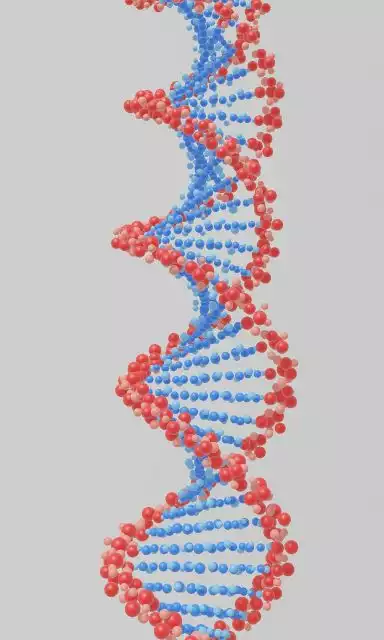 Gene editing silences mutant microRNA, restores hearing in adult mice