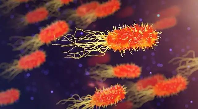 Lyme Disease: Lingering Peptidoglycan & Long-Term Effects