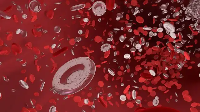 3D Printed Blood Vessels: Replicating Organs-on-Chips