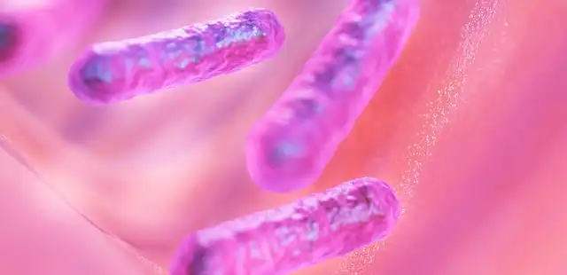 Antibiotic Resistance: Wastewater Surveillance in Indonesia