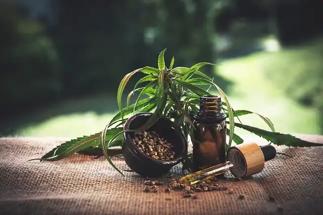 Seed Oils & Health: Linoleic Acid Linked to Lower Inflammation