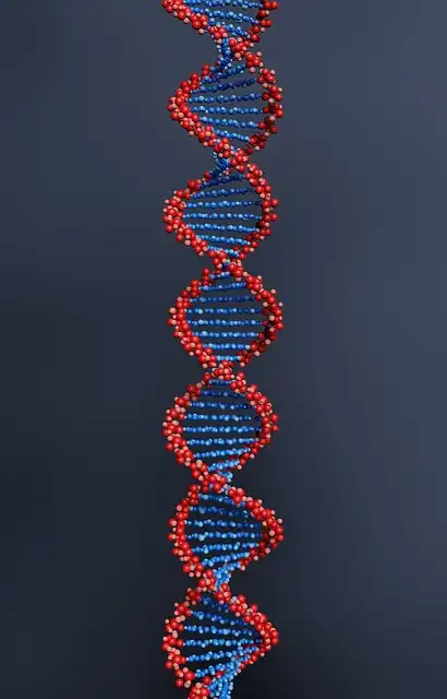 Autism Subtypes: Genetic Insights for Personalized Treatment