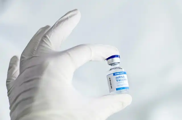 COVID-19 Vaccine Response: Rapid Antibody Decline & Breakthrough Infections