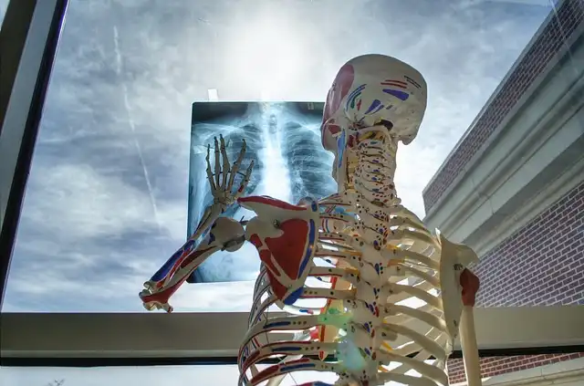 Digital Health Education Overhaul Needed in Canada