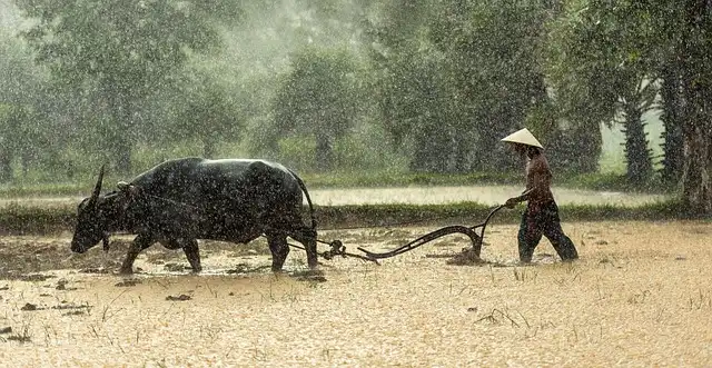 Forced Labor Risks in Healthy Diets: A New Study