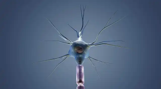 Unlocking Neuroprotection: The Role of Sugar Metabolism and DLK Proteins in Brain Health